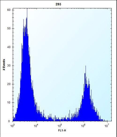 MID1IP1 Antibody flow cytometry of 293 cells (right histogram) compared to a negative control cell (left histogram). FITC-conjugated goat-anti-rabbit secondary antibodies were used for the analysis.