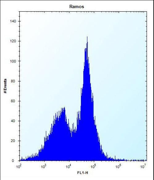 Mouse Phkg1 Antibody flow cytometry of Ramos cells (right histogram) compared to a negative control cell (left histogram). FITC-conjugated donkey-anti-rabbit secondary antibodies were used for the analysis.