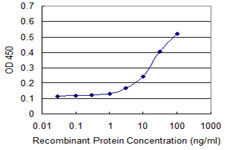 Detection limit for recombinant GST tagged PHLDA2 is approximately 0.3 ng/ml as a capture antibody.