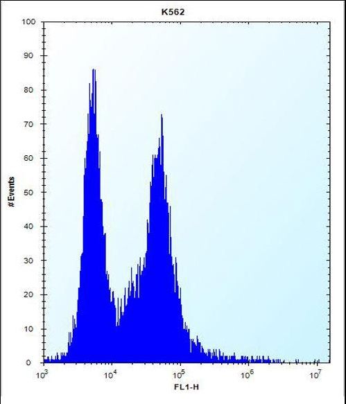 PI15 Antibody flow cytometry of K562 cells (right histogram) compared to a negative control cell (left histogram). FITC-conjugated donkey-anti-rabbit secondary antibodies were used for the analysis.