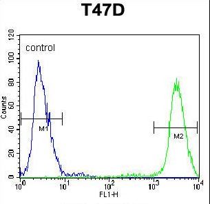 PIGM Antibody flow cytometry of T47D cells (right histogram) compared to a negative control cell (left histogram). FITC-conjugated goat-anti-rabbit secondary antibodies were used for the analysis.