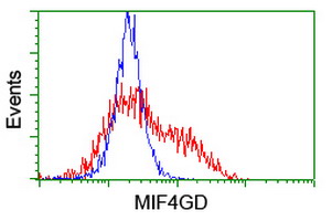 HEK293T cells transfected with either overexpress plasmid (Red) or empty vector control plasmid (Blue) were immunostained by anti-MIF4GD antibody, and then analyzed by flow cytometry.