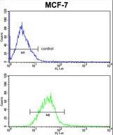 PIN1 Antibody FC of MCF-7 cells (bottom histogram) compared to a negative control cell (top histogram). FITC-conjugated goat-anti-rabbit secondary antibodies were used for the analysis.