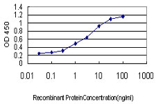 Detection limit for recombinant GST tagged PITX2 is approximately 0.03 ng/ml as a capture antibody.