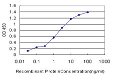 Detection limit for recombinant GST tagged PRKG1 is approximately 0.1 ng/ml as a capture antibody.