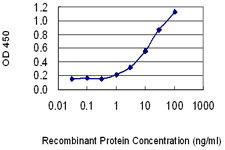 Detection limit for recombinant GST tagged PKIB is 0.3 ng/ml as a capture antibody.