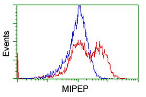 HEK293T cells transfected with either overexpress plasmid (Red) or empty vector control plasmid (Blue) were immunostained by anti-MIPEP antibody, and then analyzed by flow cytometry.