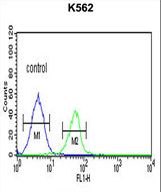 PLA2G4B Antibody flow cytometry of K562 cells (right histogram) compared to a negative control cell (left histogram). FITC-conjugated goat-anti-rabbit secondary antibodies were used for the analysis.