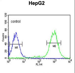C19orf21 Antibody flow cytometry of HepG2 cells (right histogram) compared to a negative control cell (left histogram). FITC-conjugated goat-anti-rabbit secondary antibodies were used for the analysis.