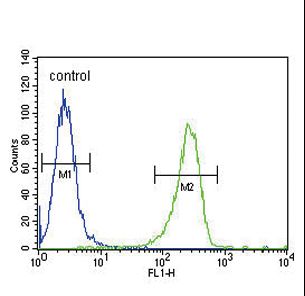 TPA Antibody ? flow cytometry of A2058 cells (right histogram) compared to a negative control cell (left histogram). FITC-conjugated goat-anti-rabbit secondary antibodies were used for the analysis.