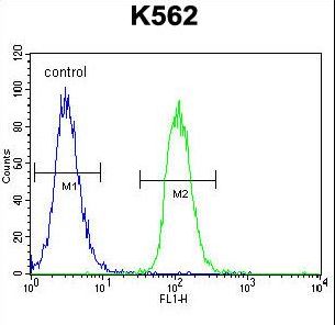 MITF Antibody flow cytometry of K562 cells (right histogram) compared to a negative control cell (left histogram). FITC-conjugated goat-anti-rabbit secondary antibodies were used for the analysis.
