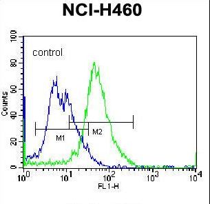 PLCL2 Antibody flow cytometry of NCI-H460 cells (right histogram) compared to a negative control cell (left histogram). FITC-conjugated donkey-anti-rabbit secondary antibodies were used for the analysis.