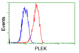 Flow cytometry of Jurkat cells, using anti-PLEK antibody, (Red) compared to a nonspecific negative control antibody (Blue).