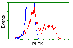 HEK293T cells transfected with either pCMV6-ENTRY PLEK (Red) or empty vector control plasmid (Blue) were immunostained with anti-PLEK mouse monoclonal, and then analyzed by flow cytometry.