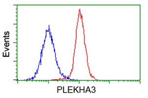 Flow cytometry of HeLa cells, using anti-PLEKHA3 antibody (Red), compared to a nonspecific negative control antibody (Blue).