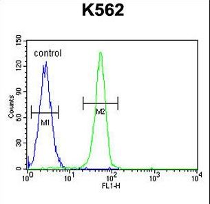 PLEKHA4 Antibody flow cytometry of K562 cells (right histogram) compared to a negative control cell (left histogram). FITC-conjugated goat-anti-rabbit secondary antibodies were used for the analysis.