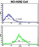 Flow cytometric of NCI-H292 cells using MyoGEF Antibody (bottom histogram) compared to a negative control cell (top histogram). FITC-conjugated goat-anti-rabbit secondary antibodies were used for the analysis.