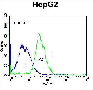 PLEKHH1 Antibody flow cytometry of K562 cells (right histogram) compared to a negative control cell (left histogram). FITC-conjugated donkey-anti-rabbit secondary antibodies were used for the analysis.