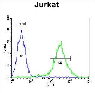 PKHH2 Antibody flow cytometry of Jurkat cells (right histogram) compared to a negative control cell (left histogram). FITC-conjugated goat-anti-rabbit secondary antibodies were used for the analysis.
