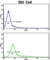 Flow cytometric of 293 cells using CKIP-1 Antibody (bottom histogram) compared to a negative control cell (top histogram). FITC-conjugated goat-anti-rabbit secondary antibodies were used for the analysis.