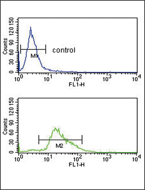 PLG Antibody flow cytometry of K562 cells (bottom histogram) compared to a negative control cell (top histogram). FITC-conjugated goat-anti-rabbit secondary antibodies were used for the analysis.