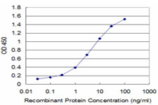 Detection limit for recombinant GST tagged PLP1 is approximately 0.1 ng/ml as a capture antibody.