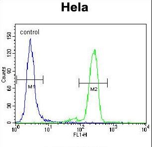 PML Sumoylation Site Antibody flow cytometry of HeLa cells (right histogram) compared to a negative control cell (left histogram). FITC-conjugated goat-anti-rabbit secondary antibodies were used for the analysis.