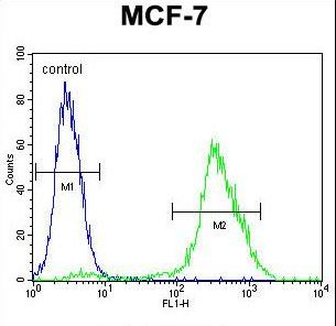 PMPCA Antibody flow cytometry of MCF-7 cells (right histogram) compared to a negative control cell (left histogram). FITC-conjugated goat-anti-rabbit secondary antibodies were used for the analysis.