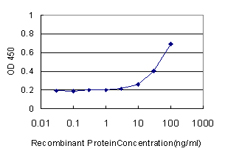 Detection limit for recombinant GST tagged PMS2 is approximately 3 ng/ml as a capture antibody.