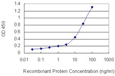 Detection limit for recombinant GST tagged PNN is 0.1 ng/ml as a capture antibody.