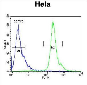 PNPLA8 Antibody flow cytometry of HeLa cells (right histogram) compared to a negative control cell (left histogram). FITC-conjugated goat-anti-rabbit secondary antibodies were used for the analysis.