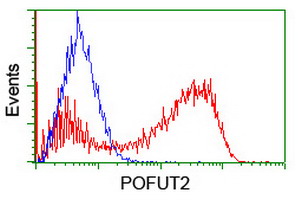 HEK293T cells transfected with either overexpress plasmid (Red) or empty vector control plasmid (Blue) were immunostained by anti-POFUT2 antibody, and then analyzed by flow cytometry.