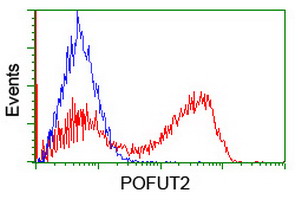 HEK293T cells transfected with either overexpress plasmid (Red) or empty vector control plasmid (Blue) were immunostained by anti-POFUT2 antibody, and then analyzed by flow cytometry.