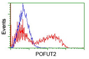 HEK293T cells transfected with either overexpress plasmid (Red) or empty vector control plasmid (Blue) were immunostained by anti-POFUT2 antibody, and then analyzed by flow cytometry.