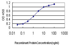 Detection limit for recombinant GST tagged POLR2I is approximately 0.03 ng/ml as a capture antibody.
