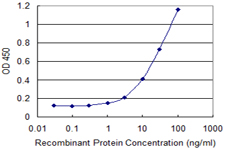 Detection limit for recombinant GST tagged POLR2J is 0.3 ng/ml as a capture antibody.