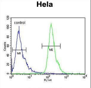 POTEH Antibody flow cytometry of HeLa cells (right histogram) compared to a negative control cell (left histogram). FITC-conjugated goat-anti-rabbit secondary antibodies were used for the analysis.