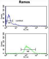 POU2AF1 Antibody flow cytometry of Ramos cells (bottom histogram) compared to a negative control cell (top histogram). FITC-conjugated goat-anti-rabbit secondary antibodies were used for the analysis.