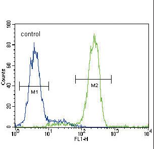 PPARG Antibody flow cytometry of HepG2 cells (right histogram) compared to a negative control cell (left histogram). FITC-conjugated goat-anti-rabbit secondary antibodies were used for the analysis.
