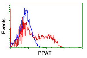 HEK293T cells transfected with either overexpress plasmid (Red) or empty vector control plasmid (Blue) were immunostained by anti-PPAT antibody, and then analyzed by flow cytometry.