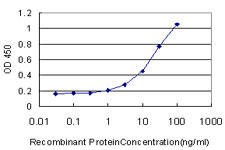 Detection limit for recombinant GST tagged MKNK2 is approximately 1 ng/ml as a capture antibody.