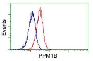 Flow cytometry of Jurkat cells, using anti-PPM1B antibody (Red), compared to a nonspecific negative control antibody (Blue).