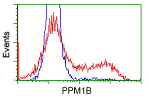 HEK293T cells transfected with either overexpress plasmid (Red) or empty vector control plasmid (Blue) were immunostained by anti-PPM1B antibody, and then analyzed by flow cytometry.