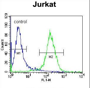 PPP1R3G Antibody flow cytometry of Jurkat cells (right histogram) compared to a negative control cell (left histogram). FITC-conjugated donkey-anti-rabbit secondary antibodies were used for the analysis.
