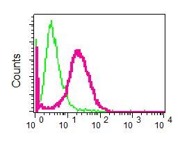 Flow cytometry of permeabilized SH-SY5Y cells using anti-Neurabin 1 antibody (red)or a rabbit IgG (negative) (green).
