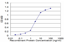 Detection limit for recombinant GST tagged PPP2R2C is approximately 0.1 ng/ml as a capture antibody.