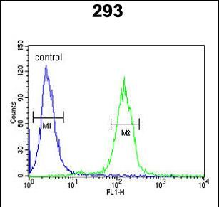 PPP3R1 Antibody (N-term) flow cytometric analysis of 293 cells (right histogram) compared to a negative control cell (left histogram).FITC-conjugated goat-anti-rabbit secondary antibodies were used for the analysis.