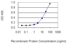 Detection limit for recombinant GST tagged PPP4C is 0.3 ng/ml as a capture antibody.