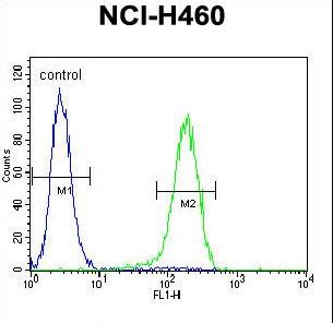 PRAMEF6 Antibody flow cytometry of NCI-H460 cells (right histogram) compared to a negative control cell (left histogram). FITC-conjugated goat-anti-rabbit secondary antibodies were used for the analysis.
