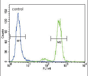 PKC alpha Antibody flow cytometry of HeLa cells (right histogram) compared to a negative control cell (left histogram). FITC-conjugated goat-anti-rabbit secondary antibodies were used for the analysis.